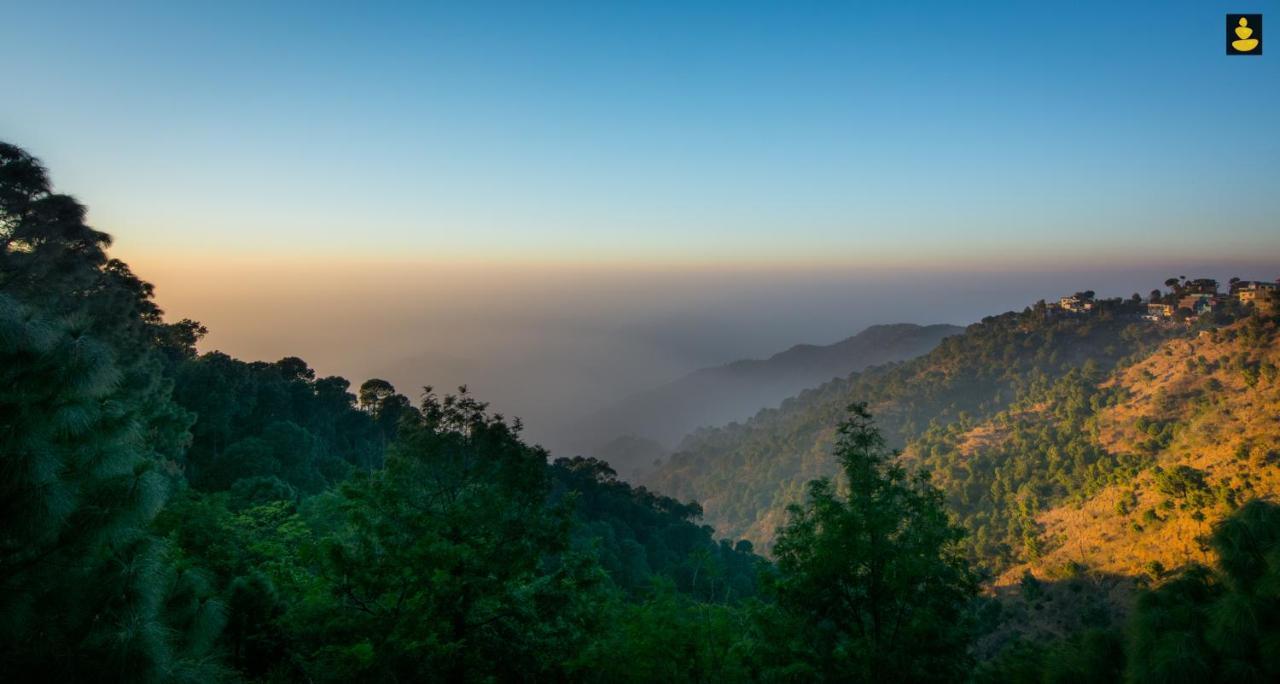 Livingstone 2Bhk Cozy Homestay In Kasauli Hills エクステリア 写真